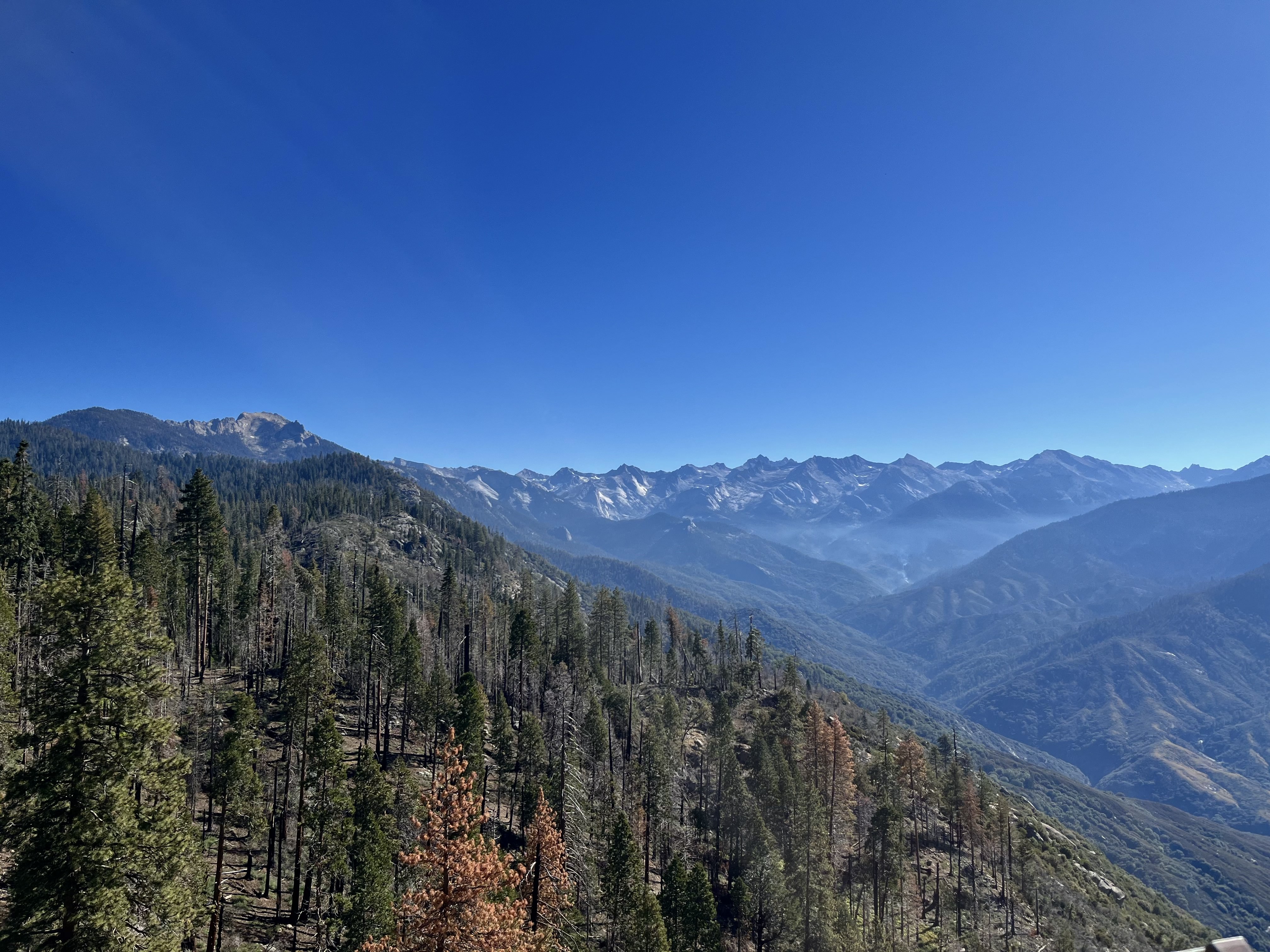 image from Sequioa National Park